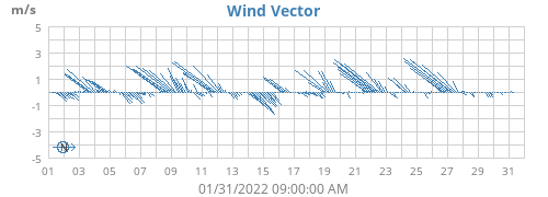 Wind Vector