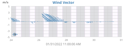 Wind Vector